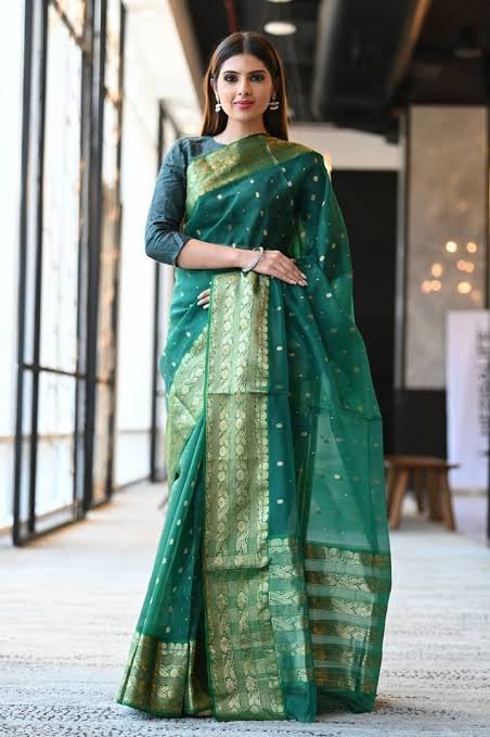 Most-Expensive-Sarees-in-India-19.jpg