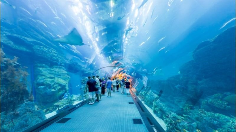 Best-Places-to-Visit-in-Dubai-5.jpg