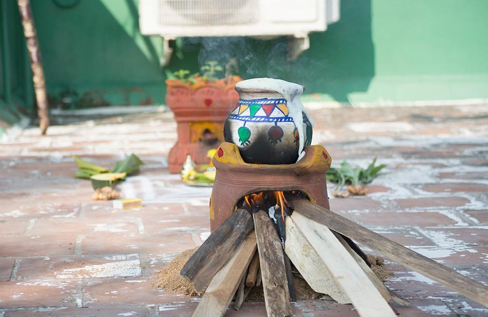 Pongal– A-Harvest-Festival.jpg