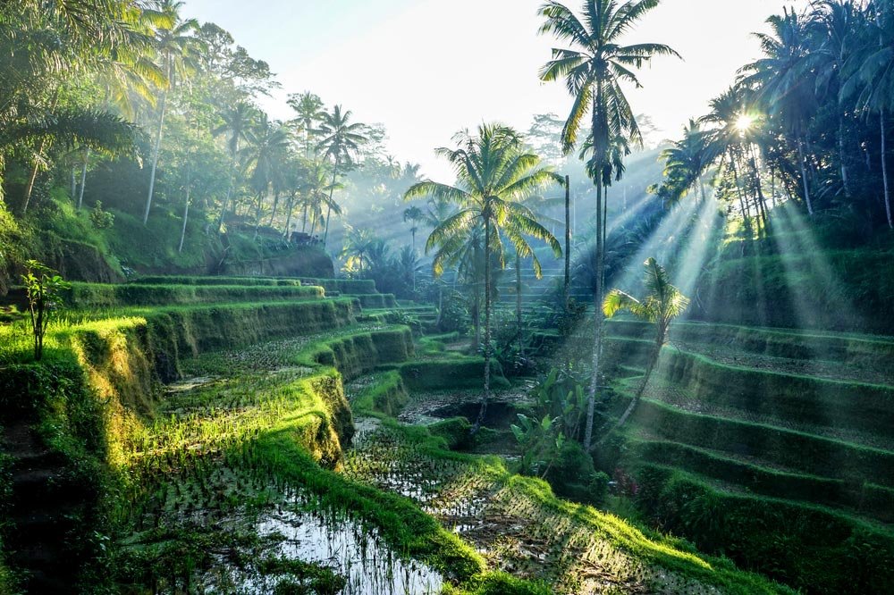 Tourist-Attractions-In-Bali-6.jpg