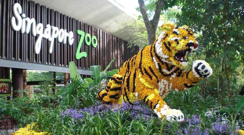 Top-Places-To-Visit-In-Singapore-8.jpg