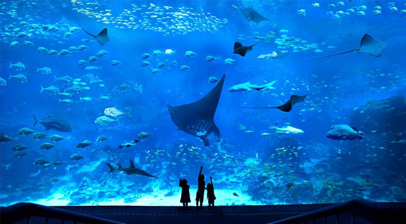 Top-Places-To-Visit-In-Singapore-2.jpg