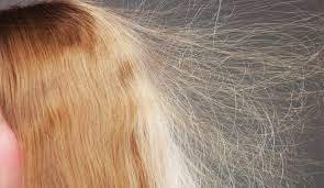 Haircare-Tips-for-Winters-11.jpg